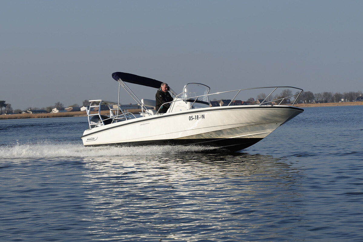 foto: 34 Boston Whaler 230 Dauntless