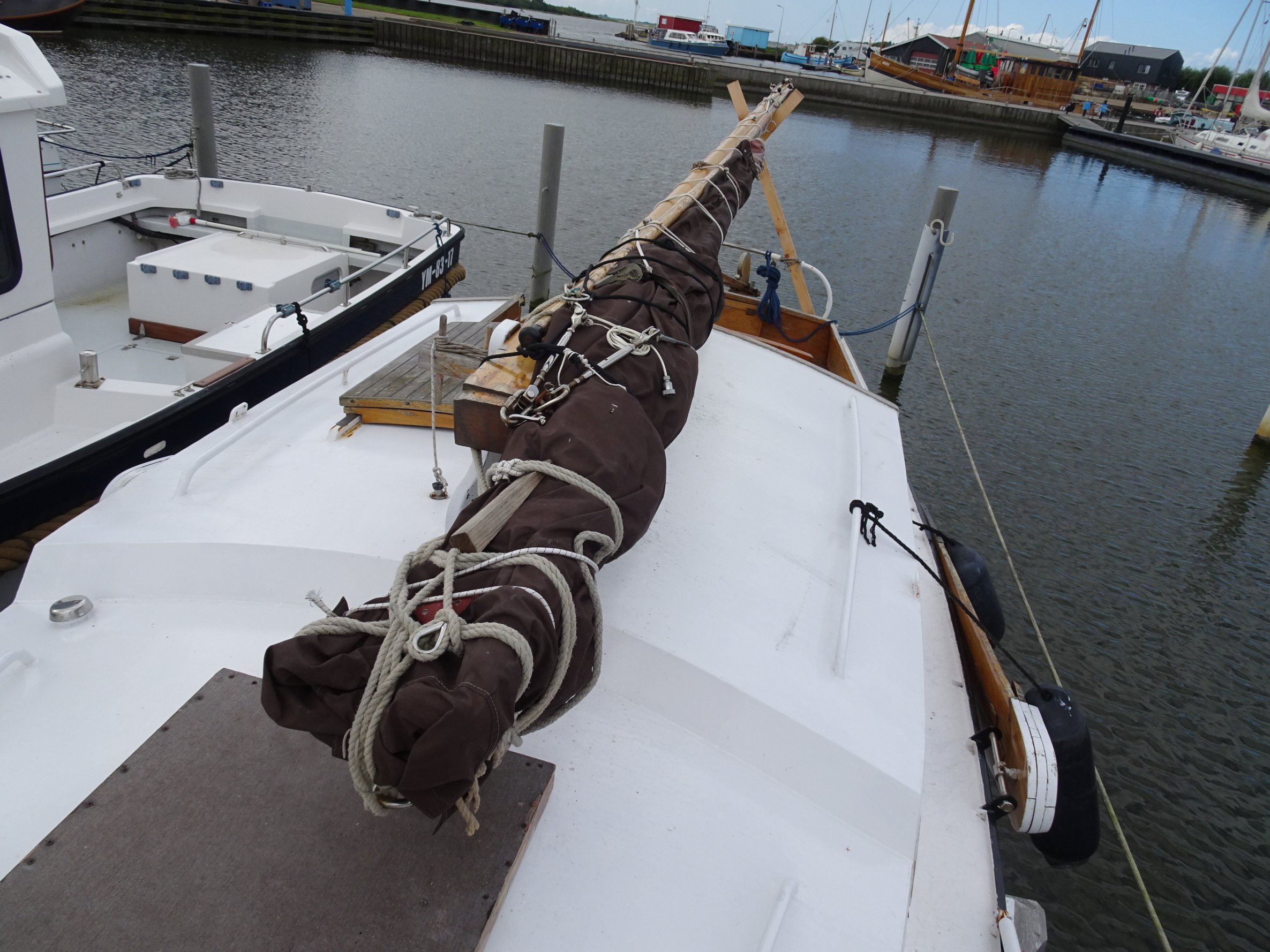 foto: 4 Baarda  Zeegrundel