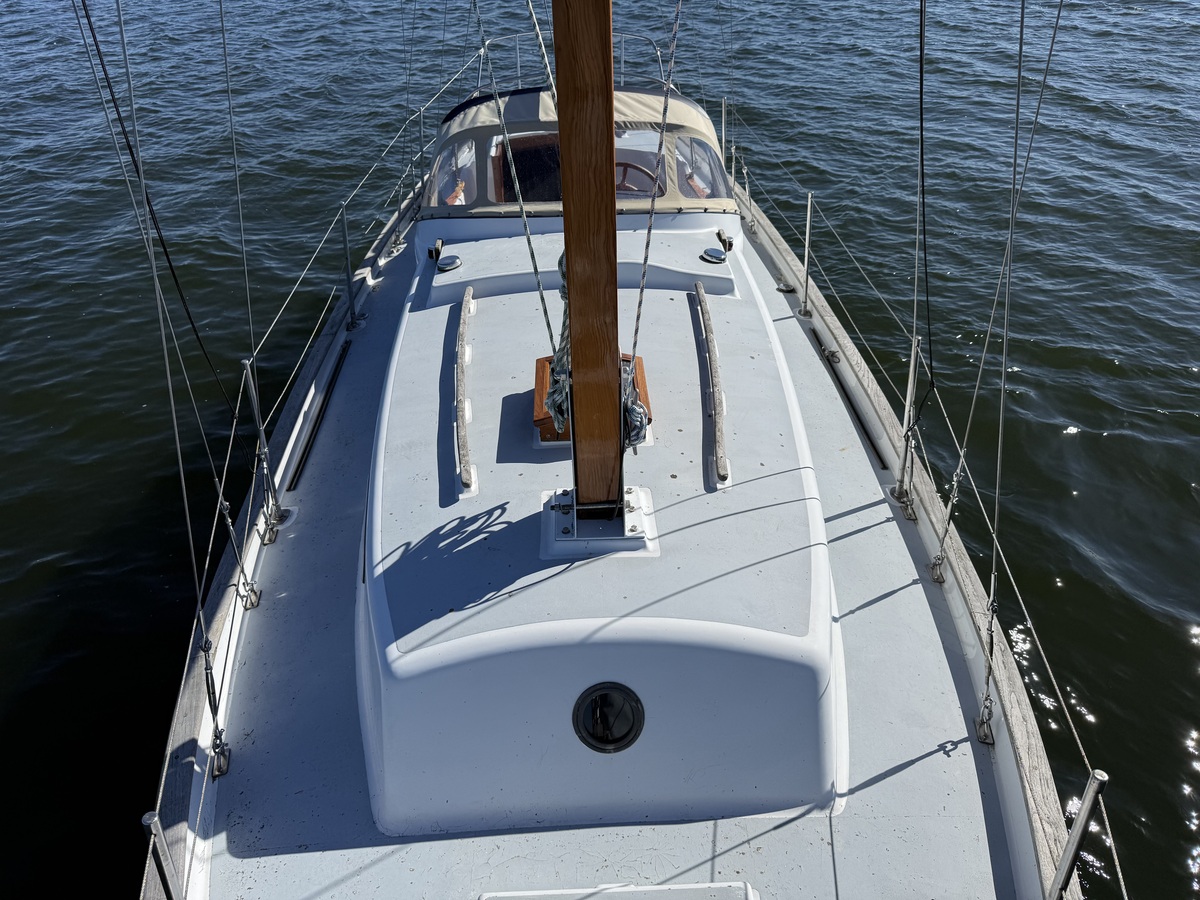 foto: 39 Seadog 30
