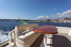 foto: 21 CraftMochi  51 Dolphin