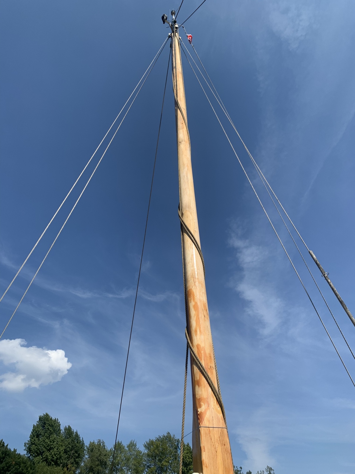 foto: 22 Zeeschouw 1000