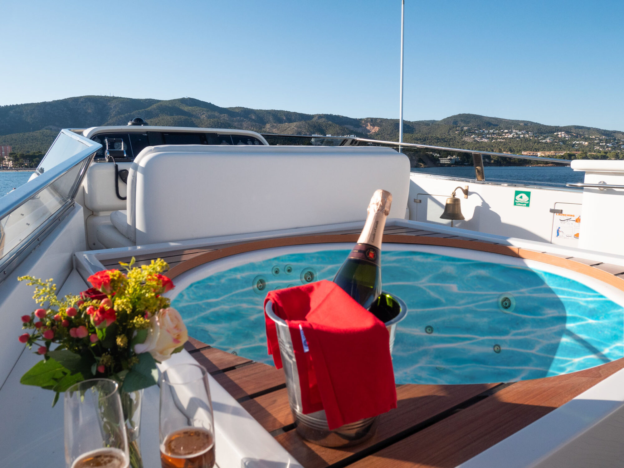 foto: 20 Falcon Falcon 100