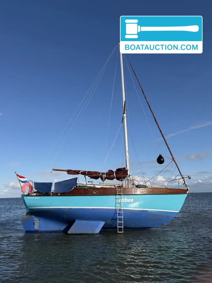 foto: 4 Rossiter Pintail 27