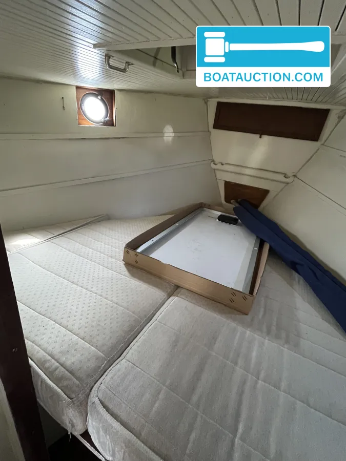 foto: 12 Danish Rose 31