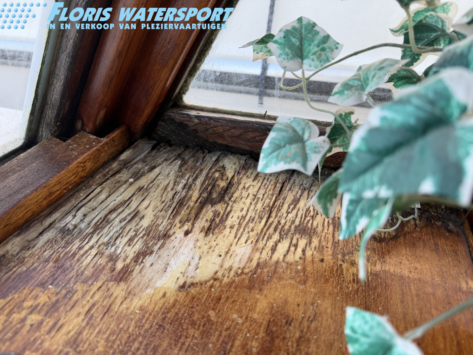 foto: 20 Westlander 1800