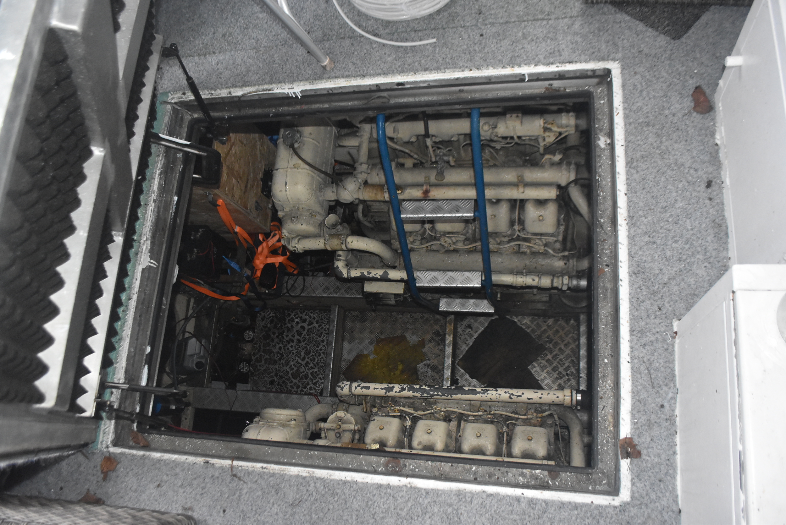 foto: 31 Tummler 15.00