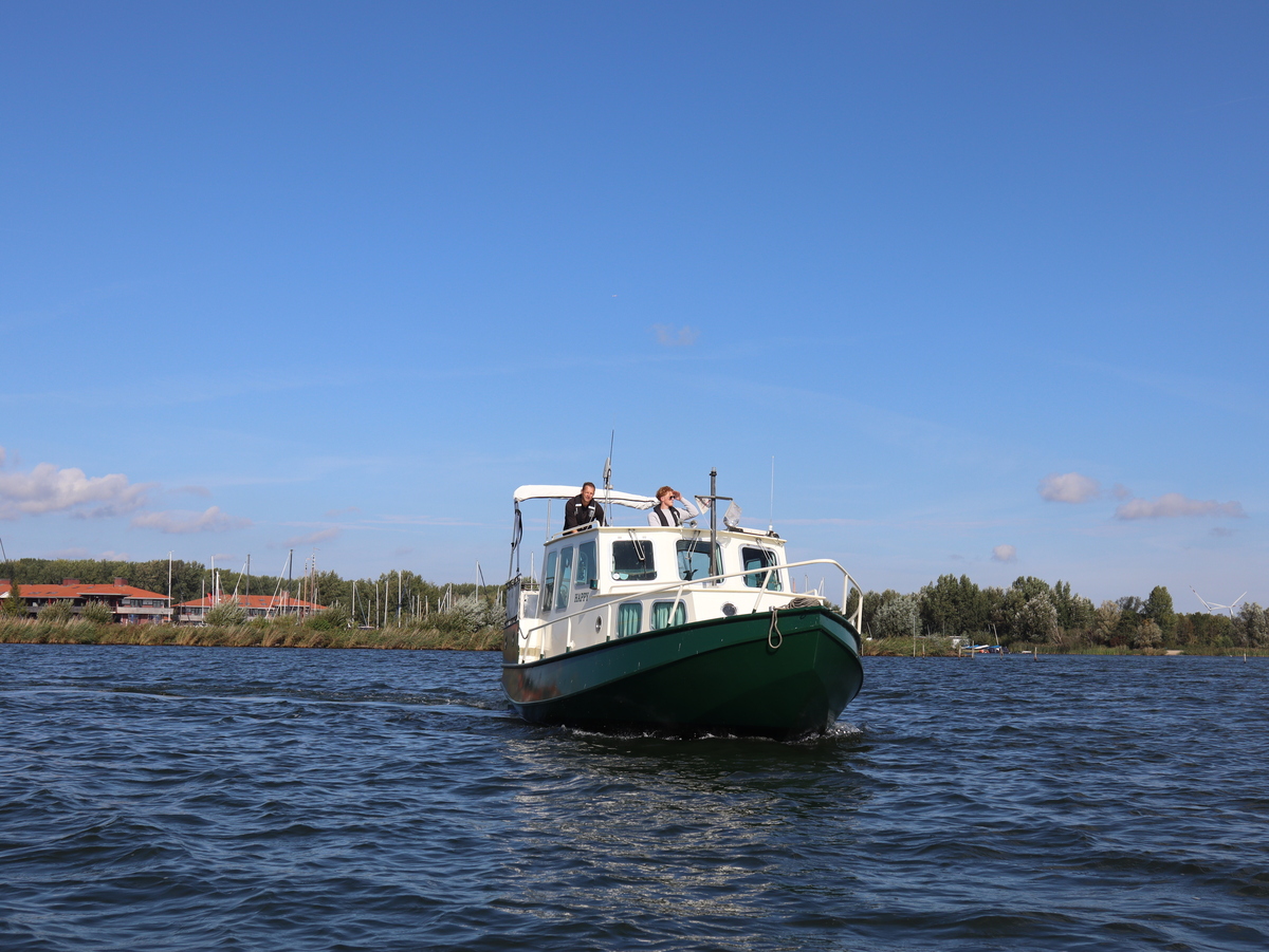 foto: 6 Loosevlet 950 Sint Jozef