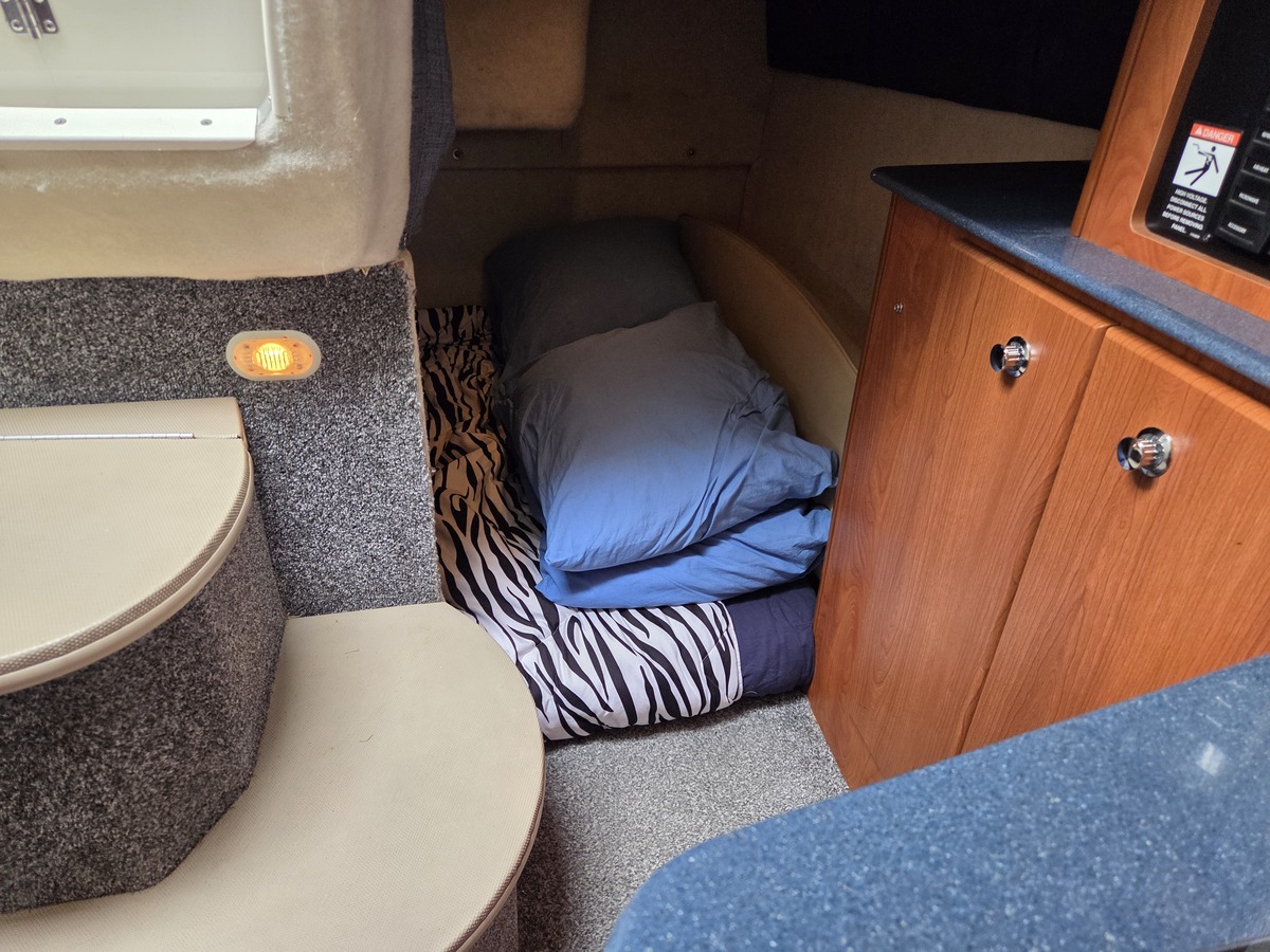 foto: 29 Bayliner 275