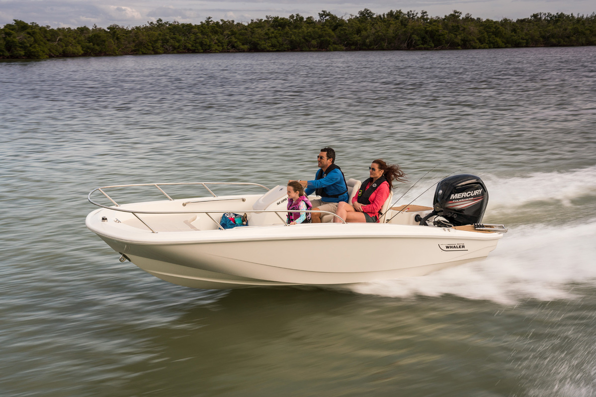 foto: 18 Boston Whaler 160 Super Sport