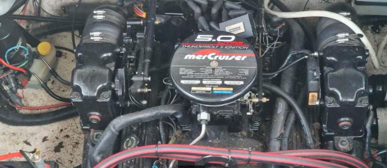 foto: 12 Monterey 262 Cruiser