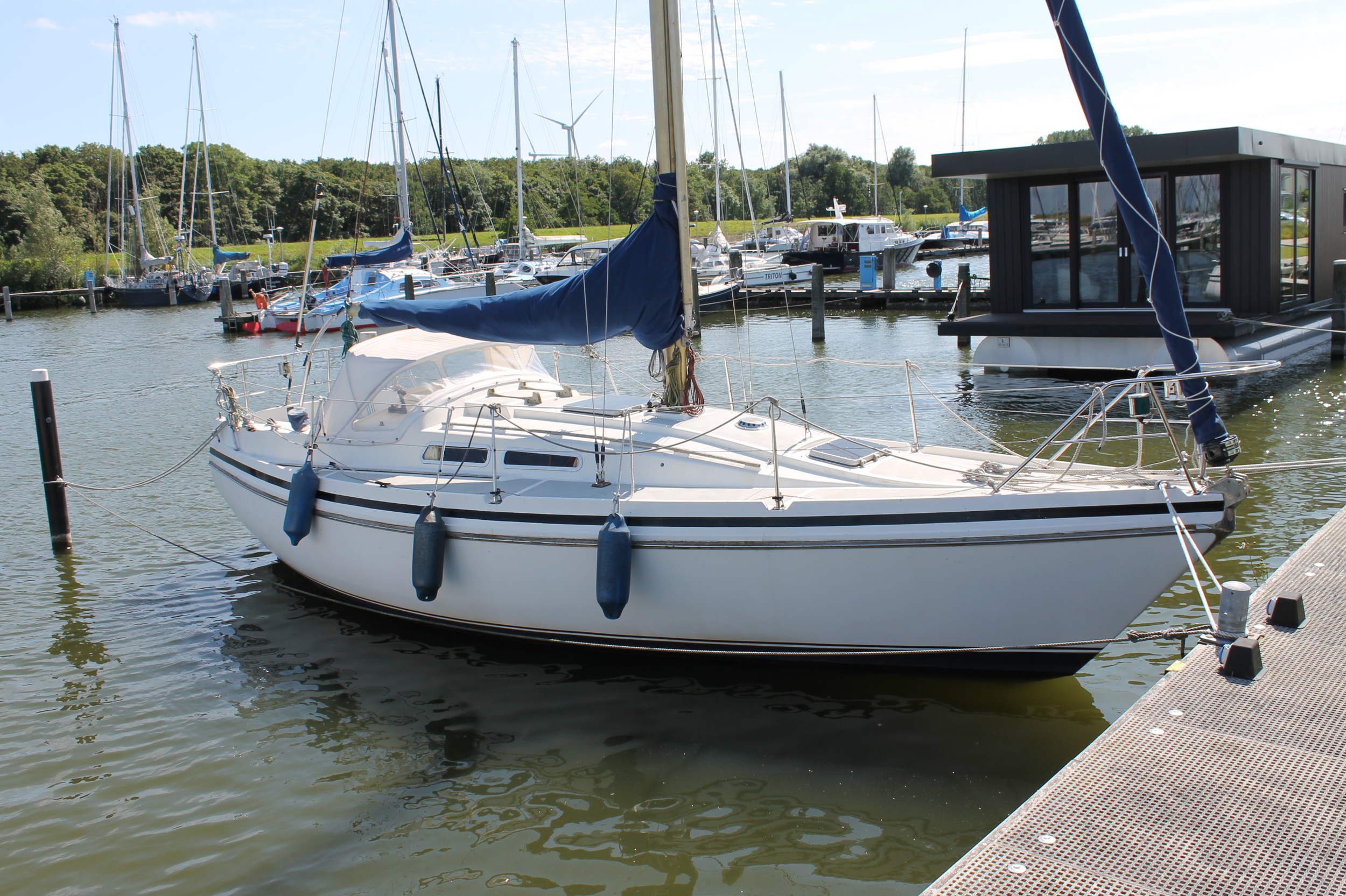 foto: 4 Contest 30 B