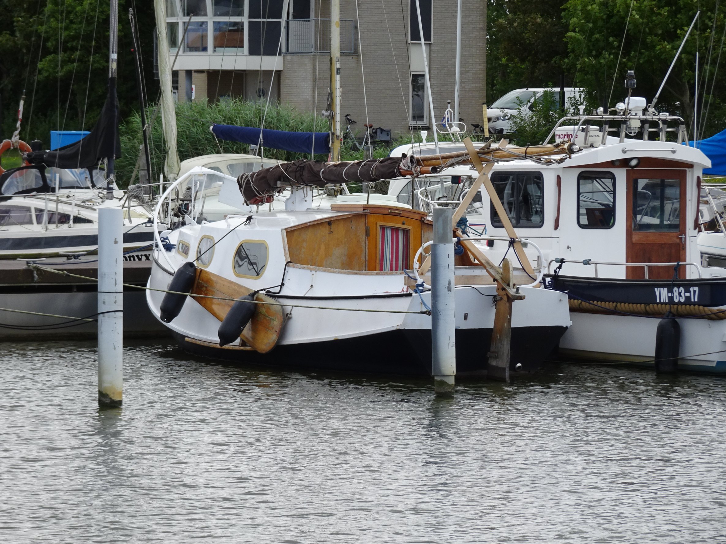 foto: 19 Baarda  Zeegrundel