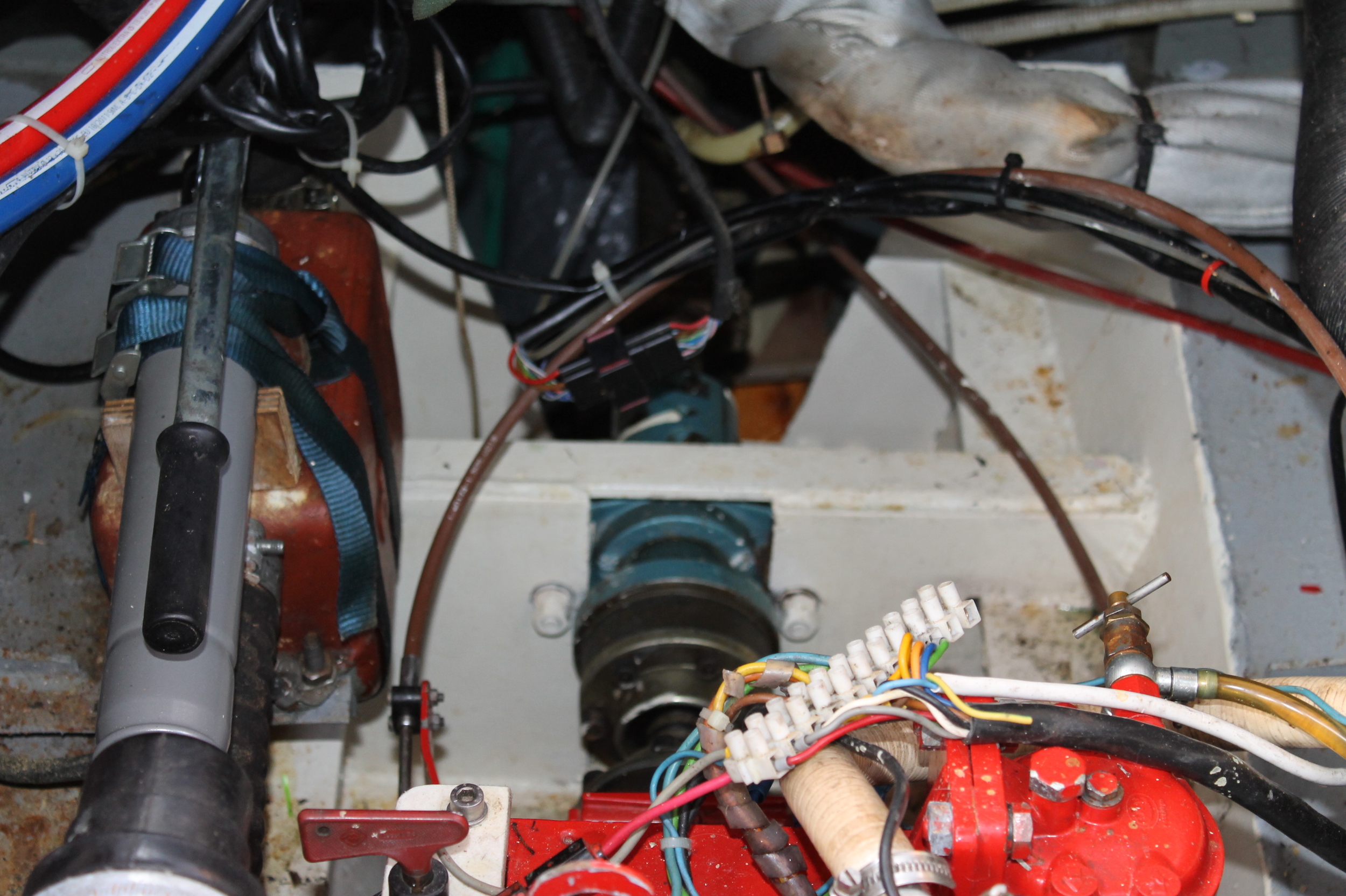 foto: 4 Peereboom Kruiser GSAK