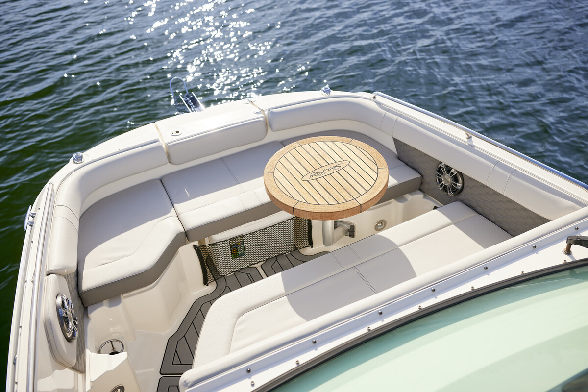 foto: 7 Sea Ray SDX 250