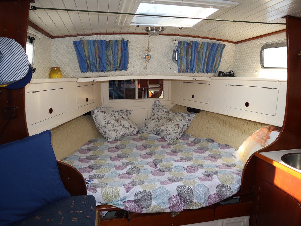 foto: 4 Polymore 770