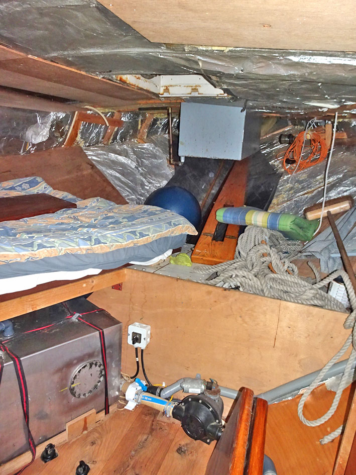 foto: 4 Hoogaars 13.70