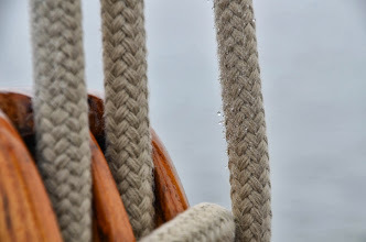 foto: 4 Platbodem Melkschouw