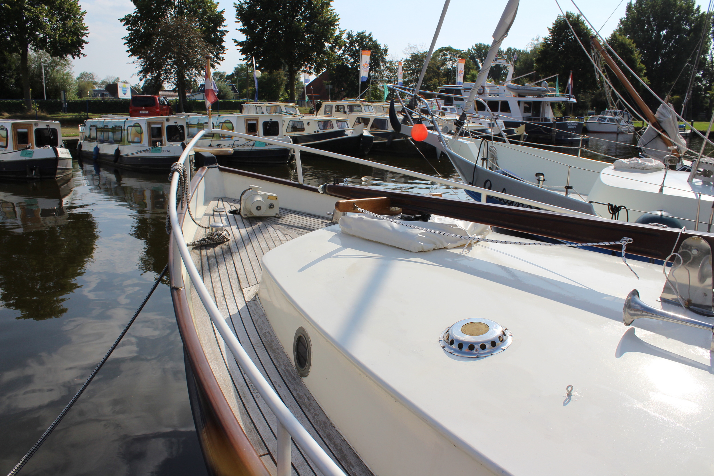 foto: 6 Danish Rose MS 31