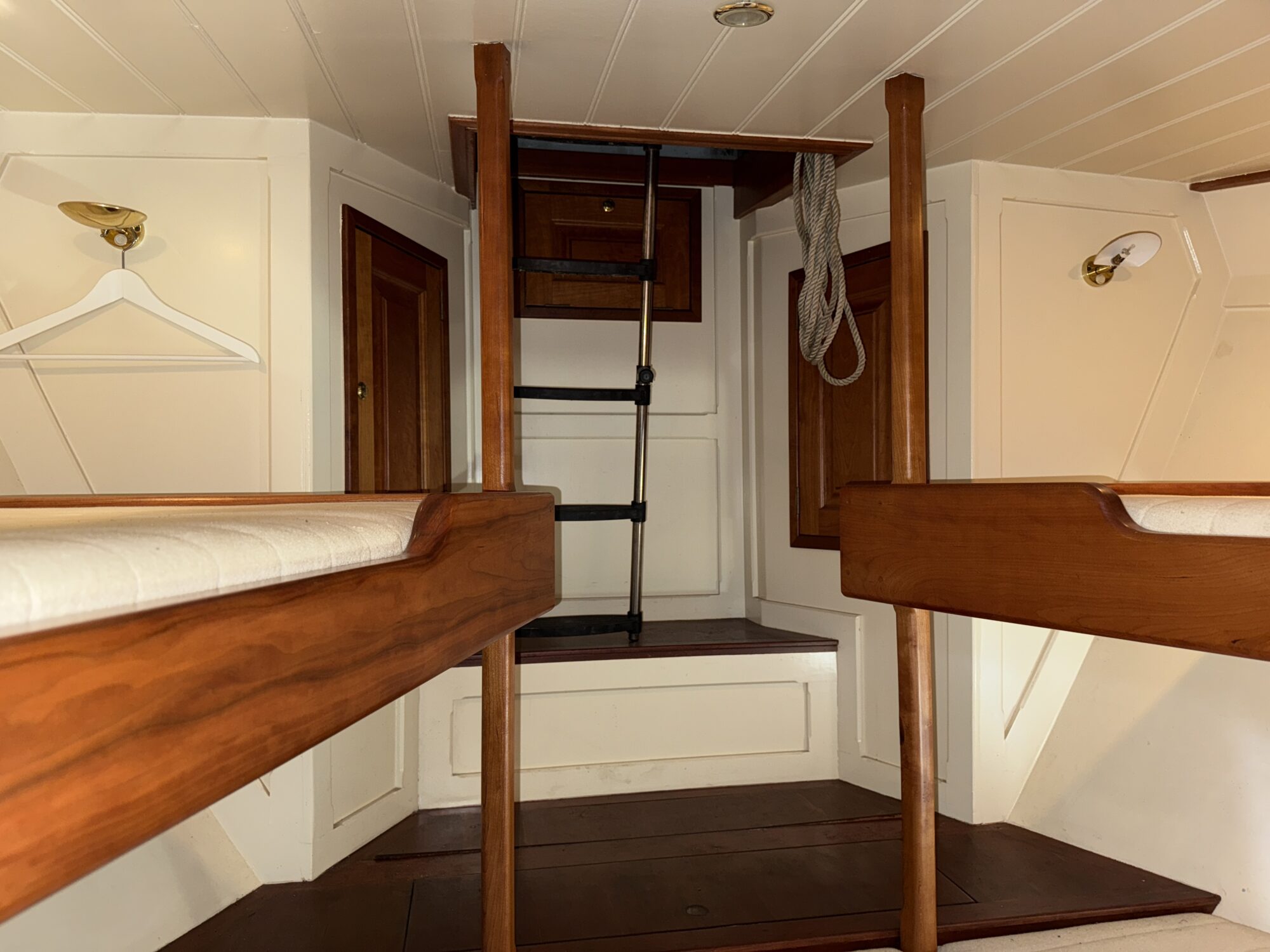 foto: 4 Noordzeekotter Noordzeekotter  ‘WR 134’