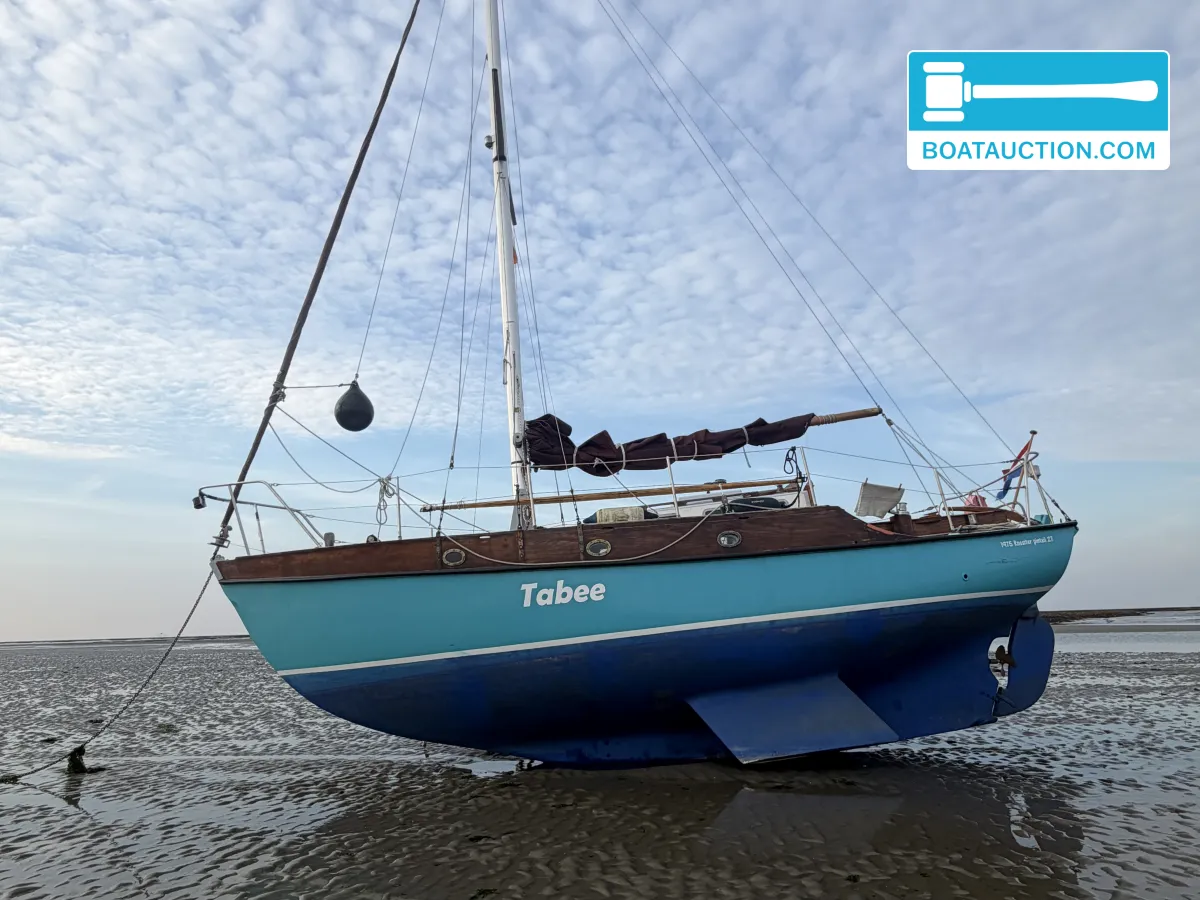 foto: 8 Rossiter Pintail 27