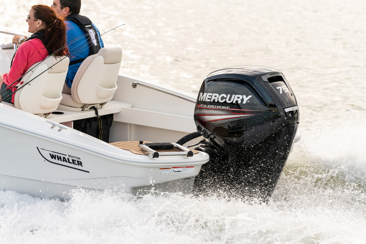 foto: 35 Boston Whaler 160 Super Sport