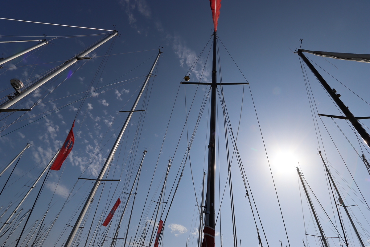 foto: 12 Koopmans 36
