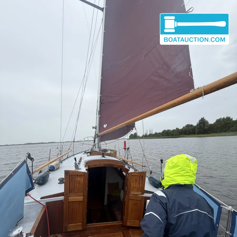 foto: 5 Rossiter Pintail 27