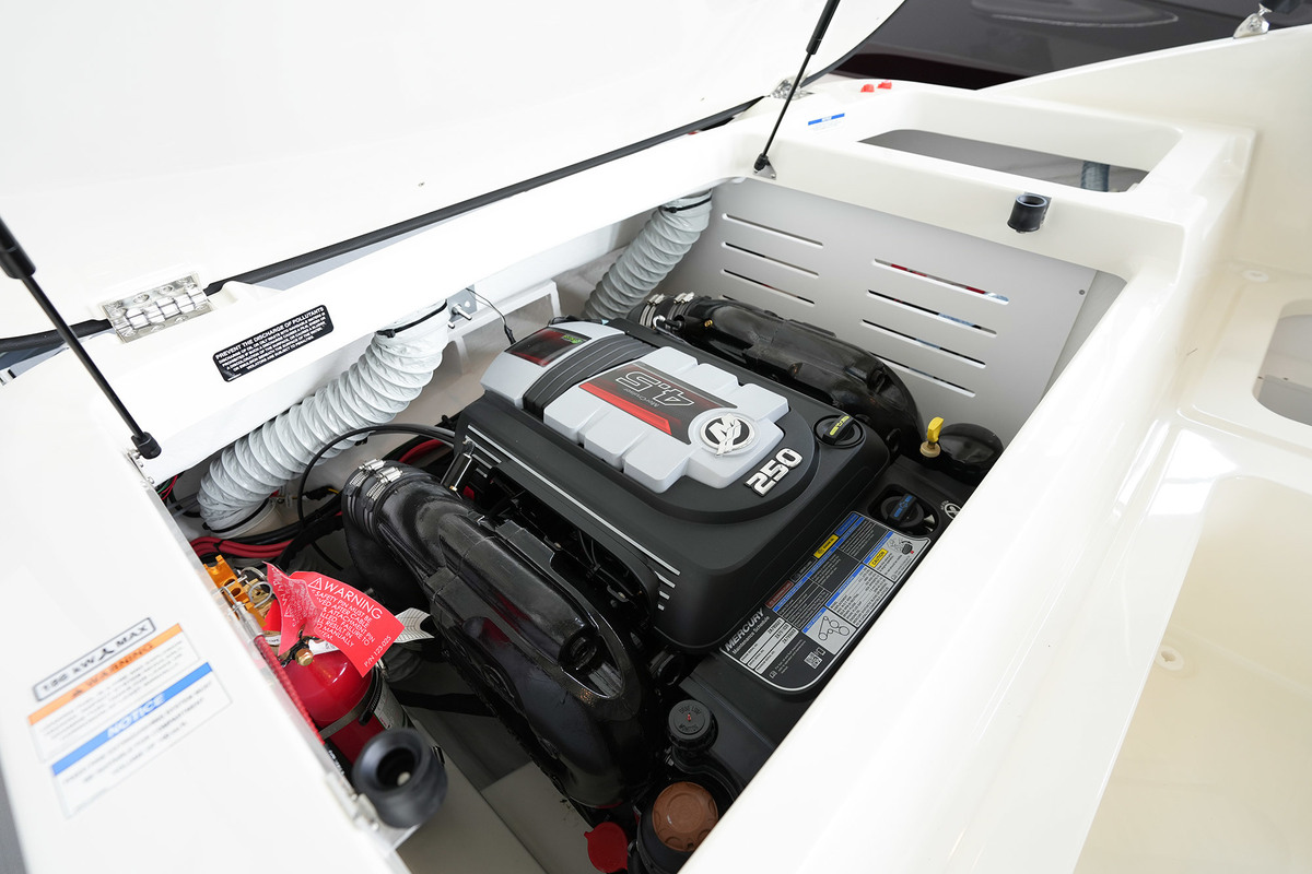 foto: 7 Sea Ray SPX 210 