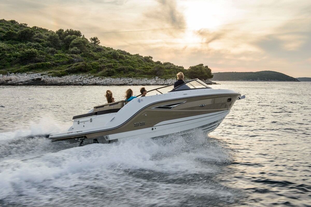 foto: 8 Sea Ray Sun Sport 250