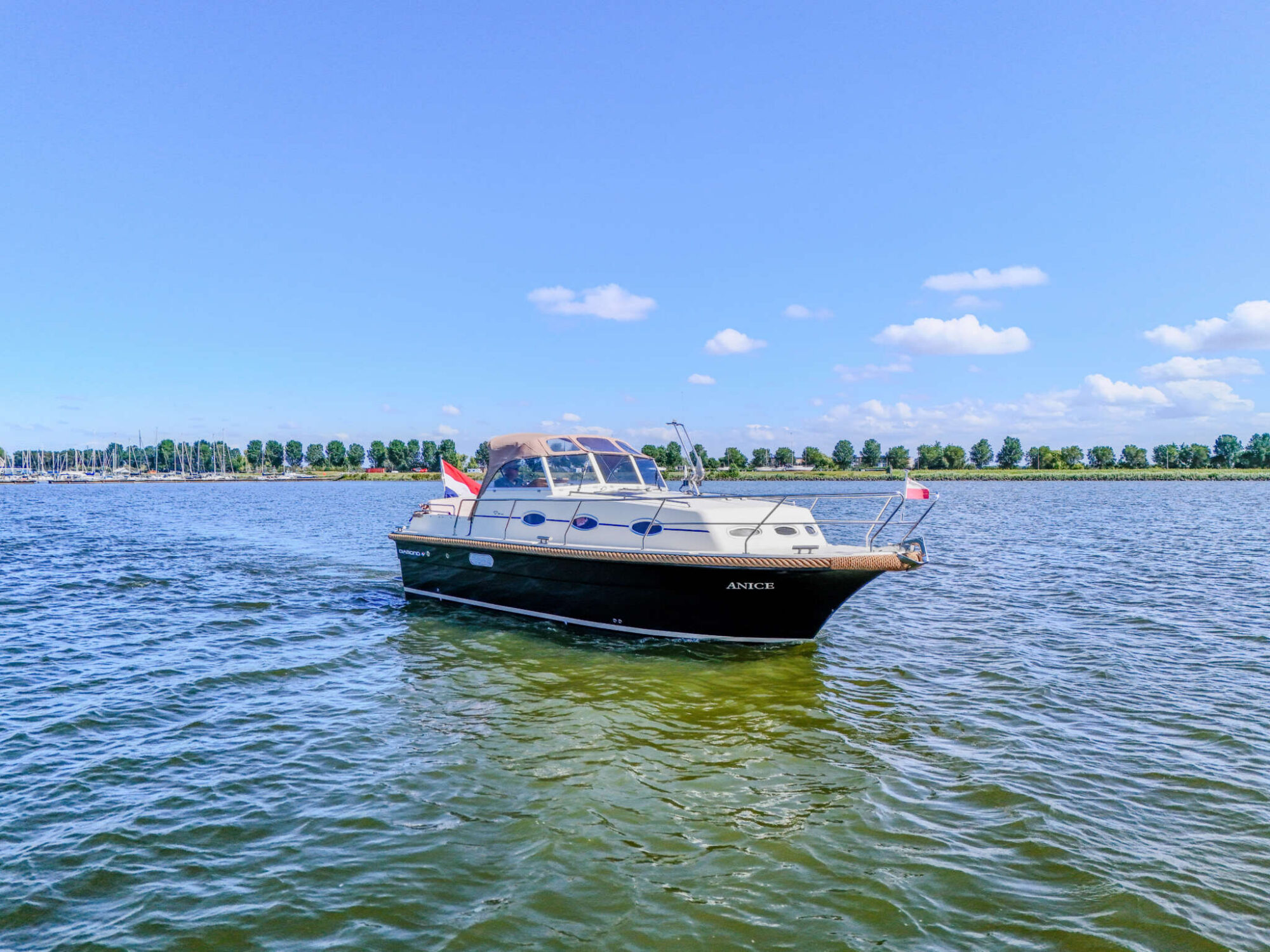 foto: 8 Diamond Diamond Retro 8.50 OK