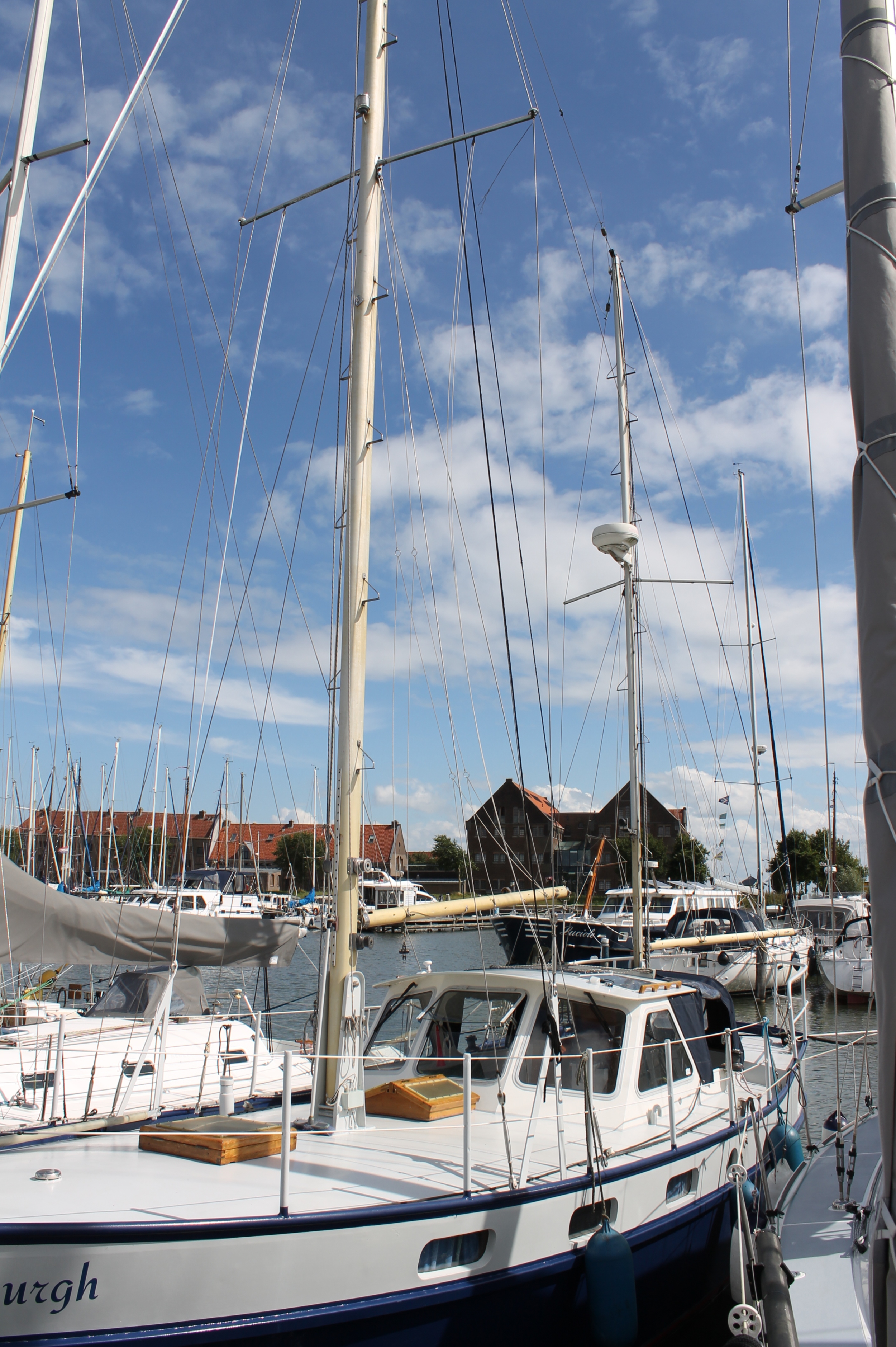 foto: 12 Pieter Beeldsnijder Gouwzee 3A
