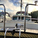 foto: 4 Linssen 380 AC