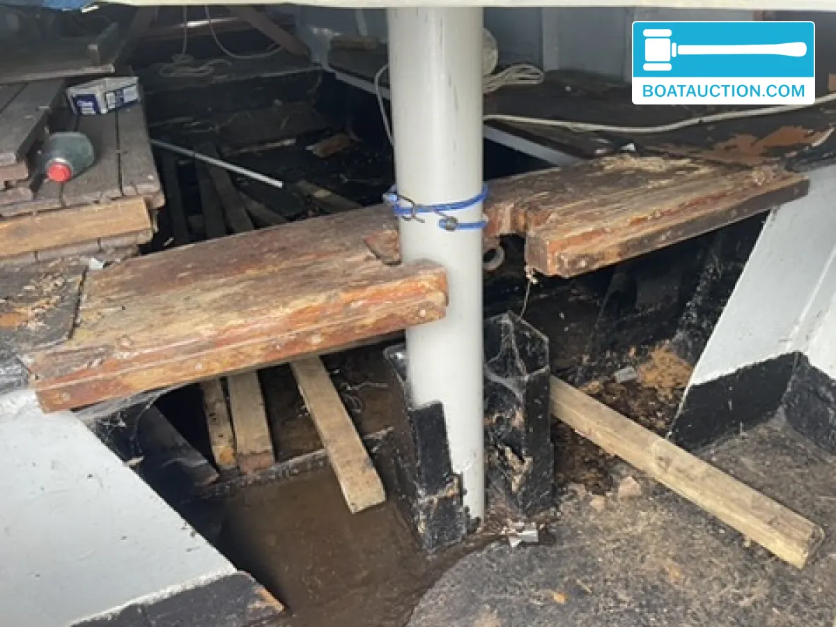 foto: 5 Zeeschouw 550