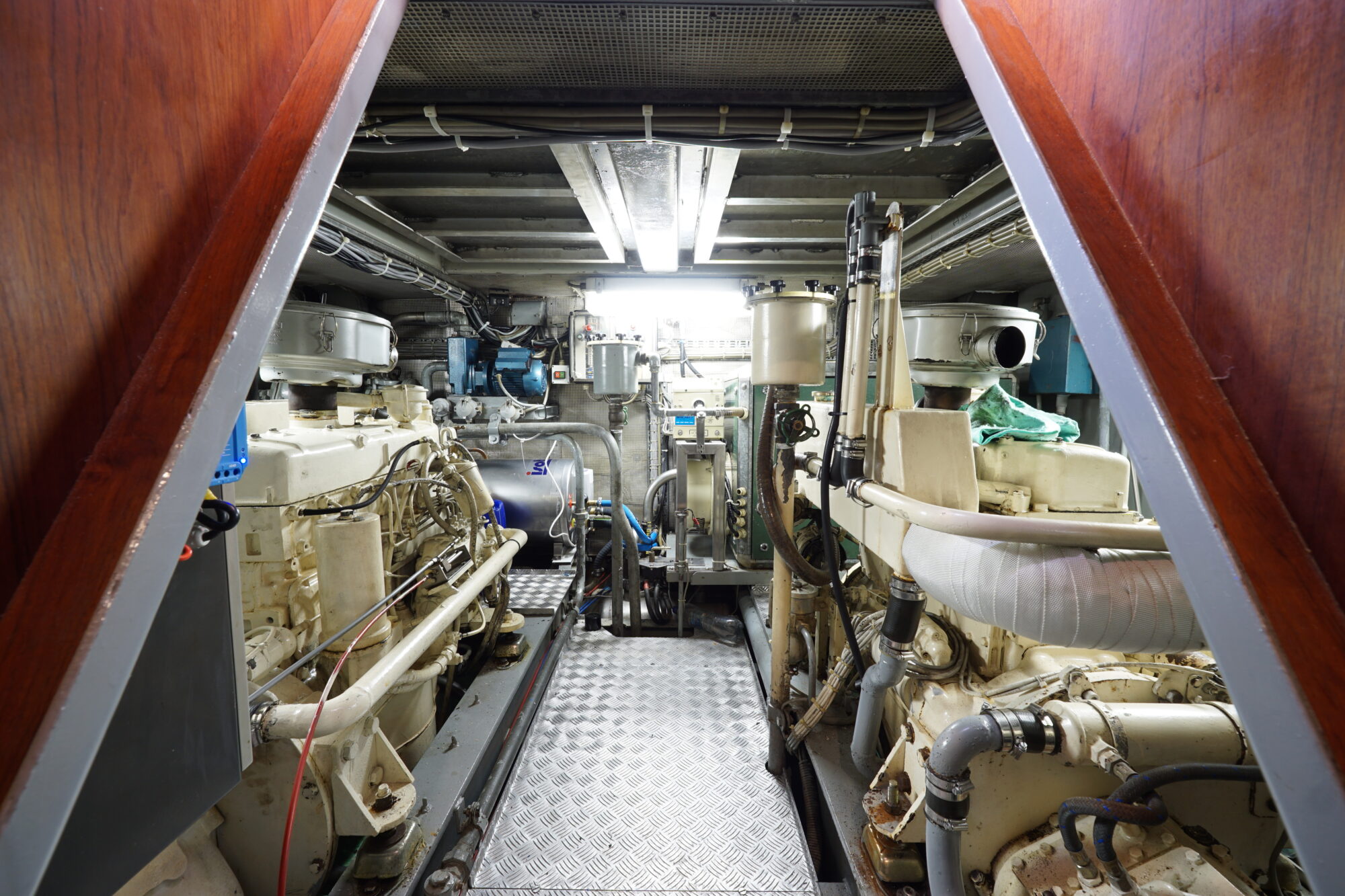 foto: 12 Damen Damen Pushy Cat 15.00 AK Cabrio