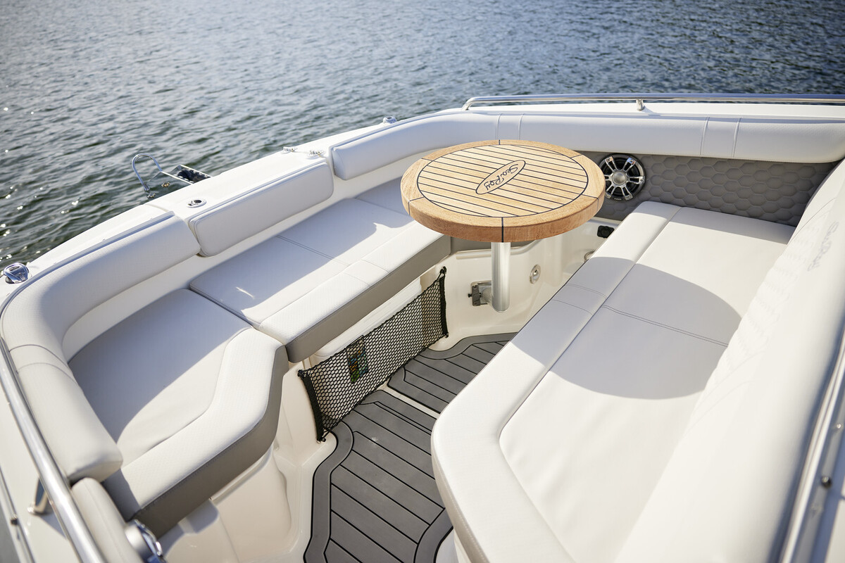 foto: 11 Sea Ray SDX 250