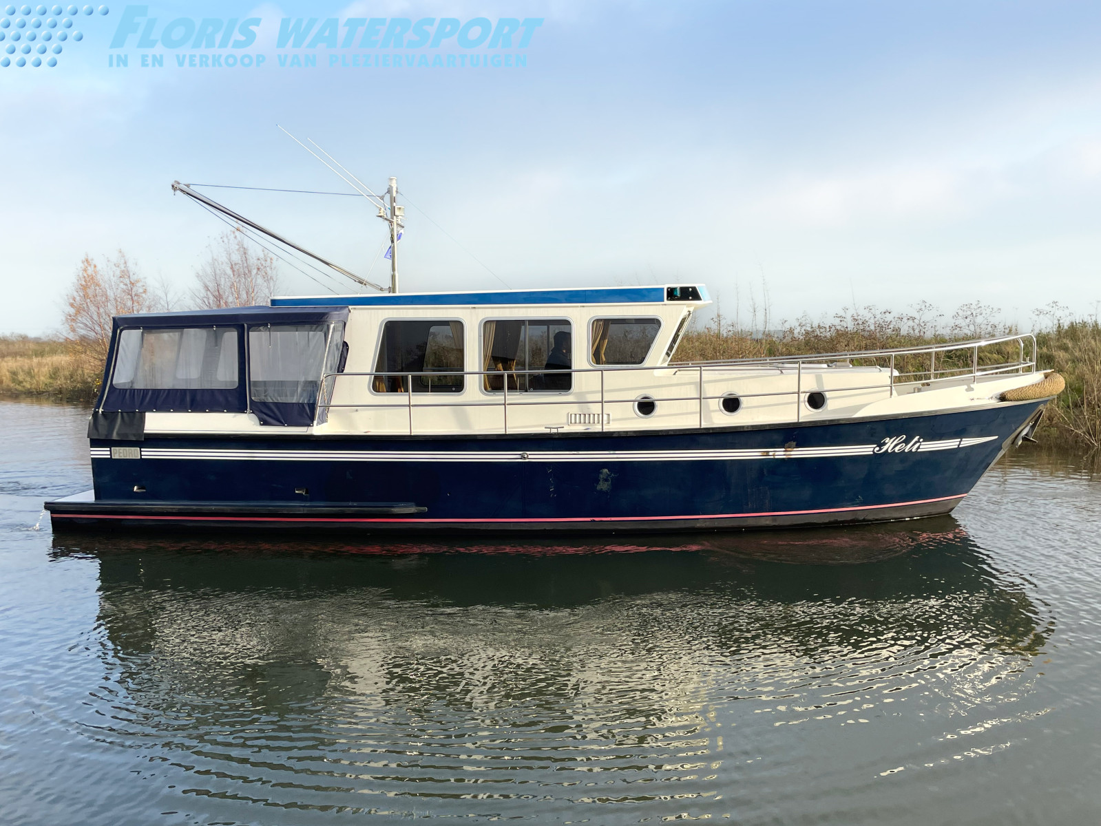 foto: 6 Pedro Donky 36