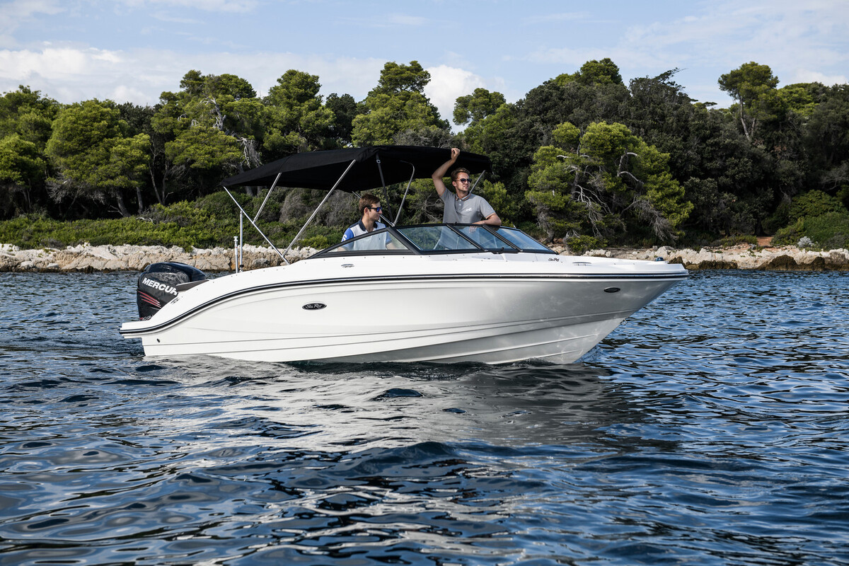 foto: 6 Sea Ray SPX 210 Outboard