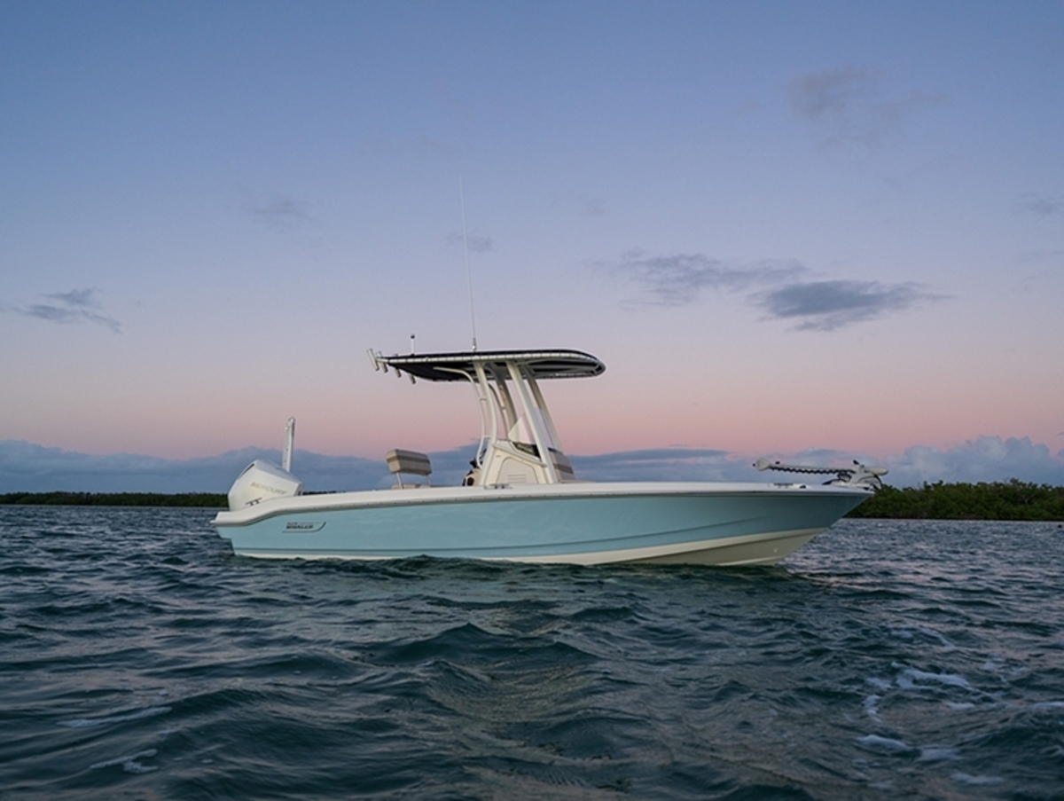 foto: 16 Boston Whaler 220 Dauntless