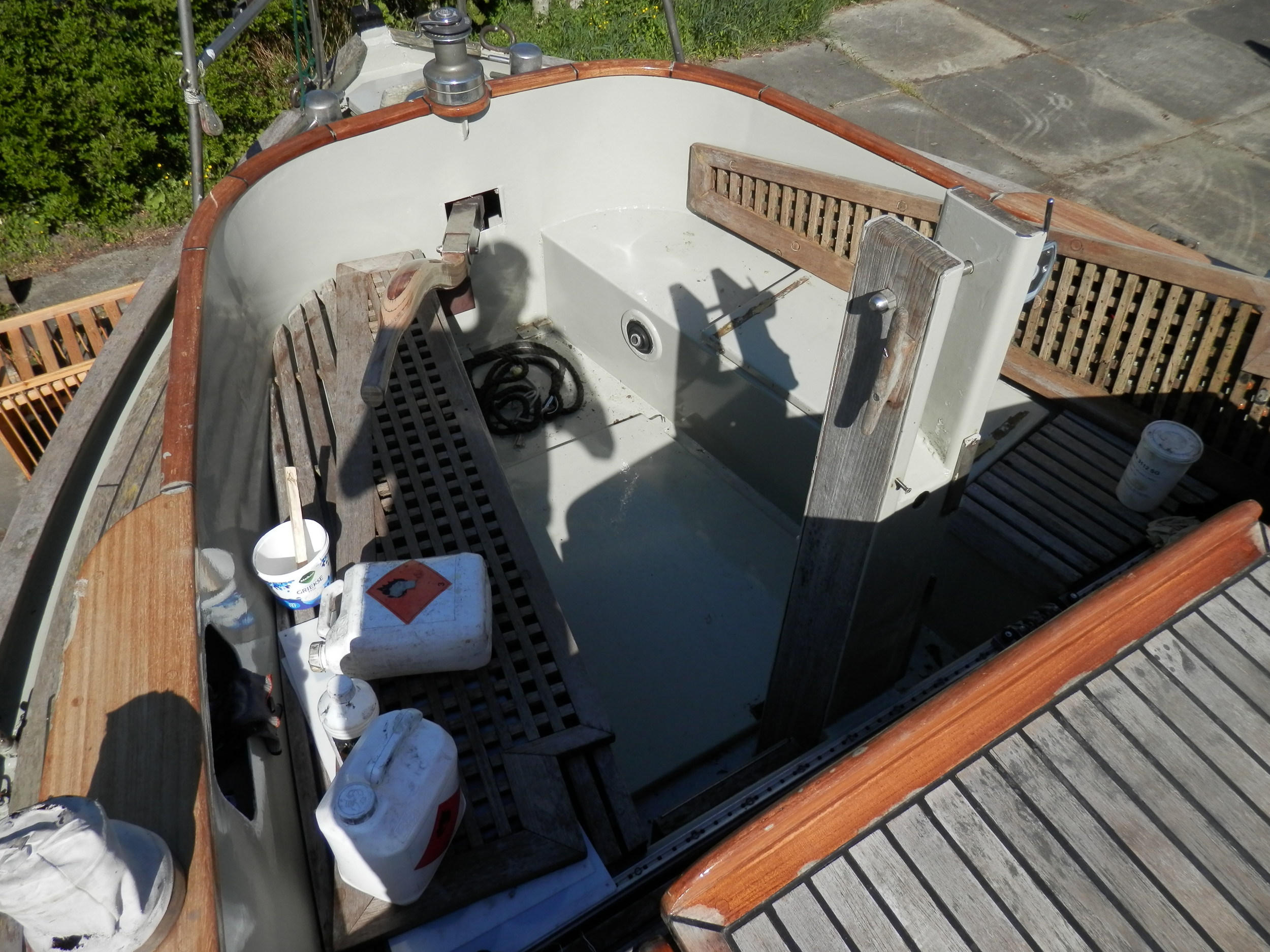 foto: 6 Danish Rose 31