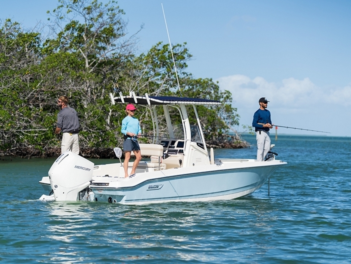 foto: 4 Boston Whaler 220 Dauntless