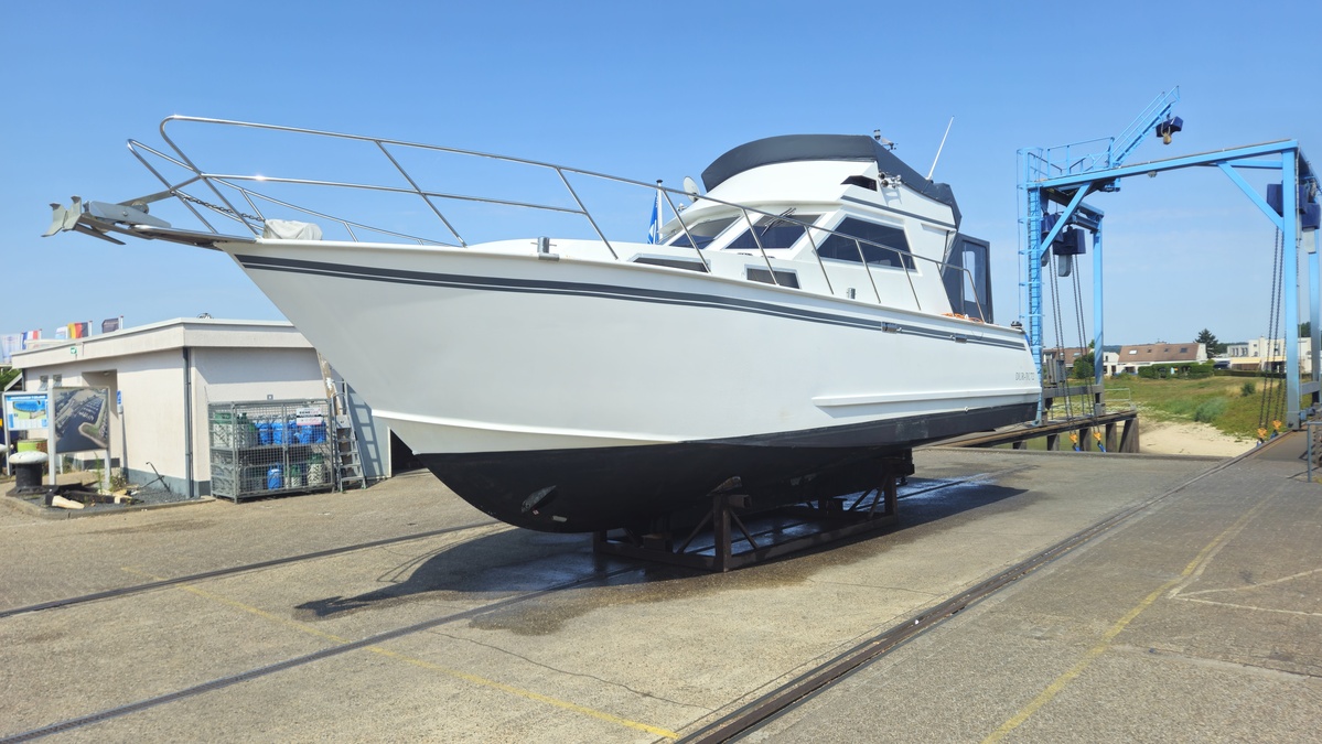 foto: 6 Condor 105 Fly