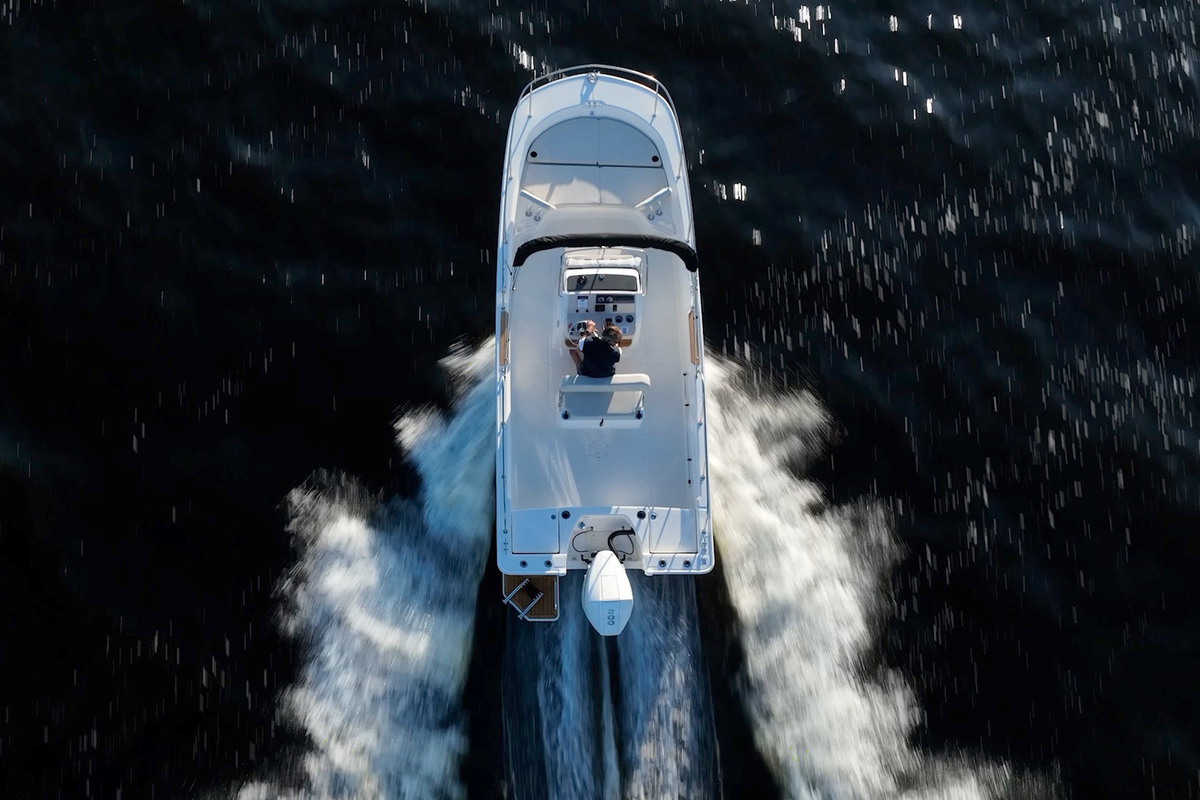 foto: 29 Boston Whaler 210 Montauk