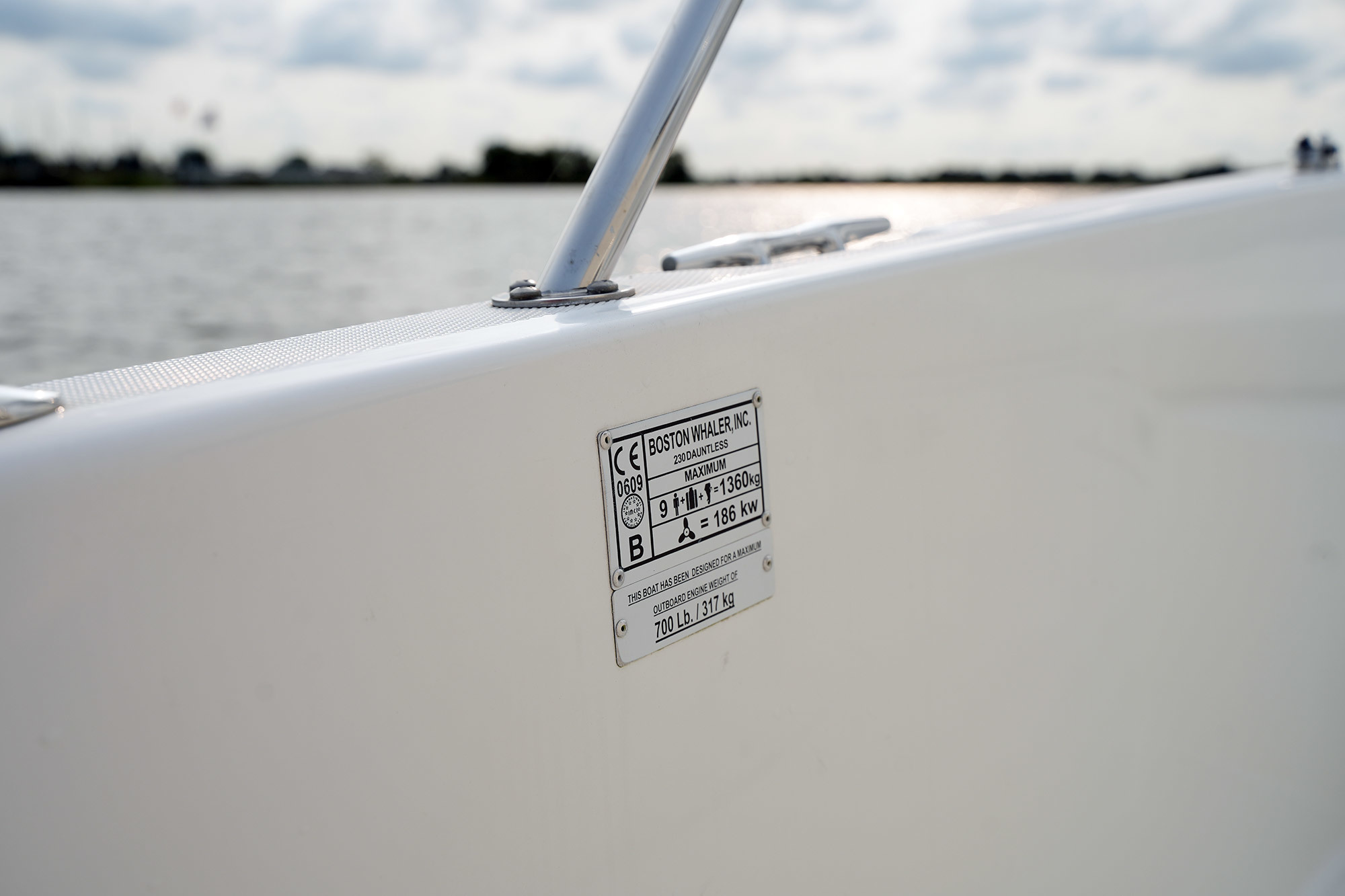 foto: 31 Boston Whaler 230 Dauntless