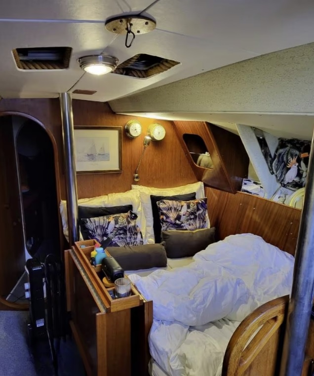 foto: 4 King Cruiser 33