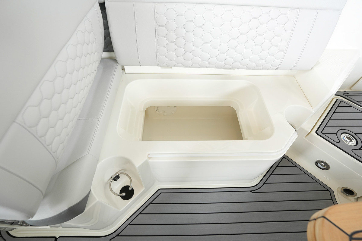foto: 18 Sea Ray SDX 250