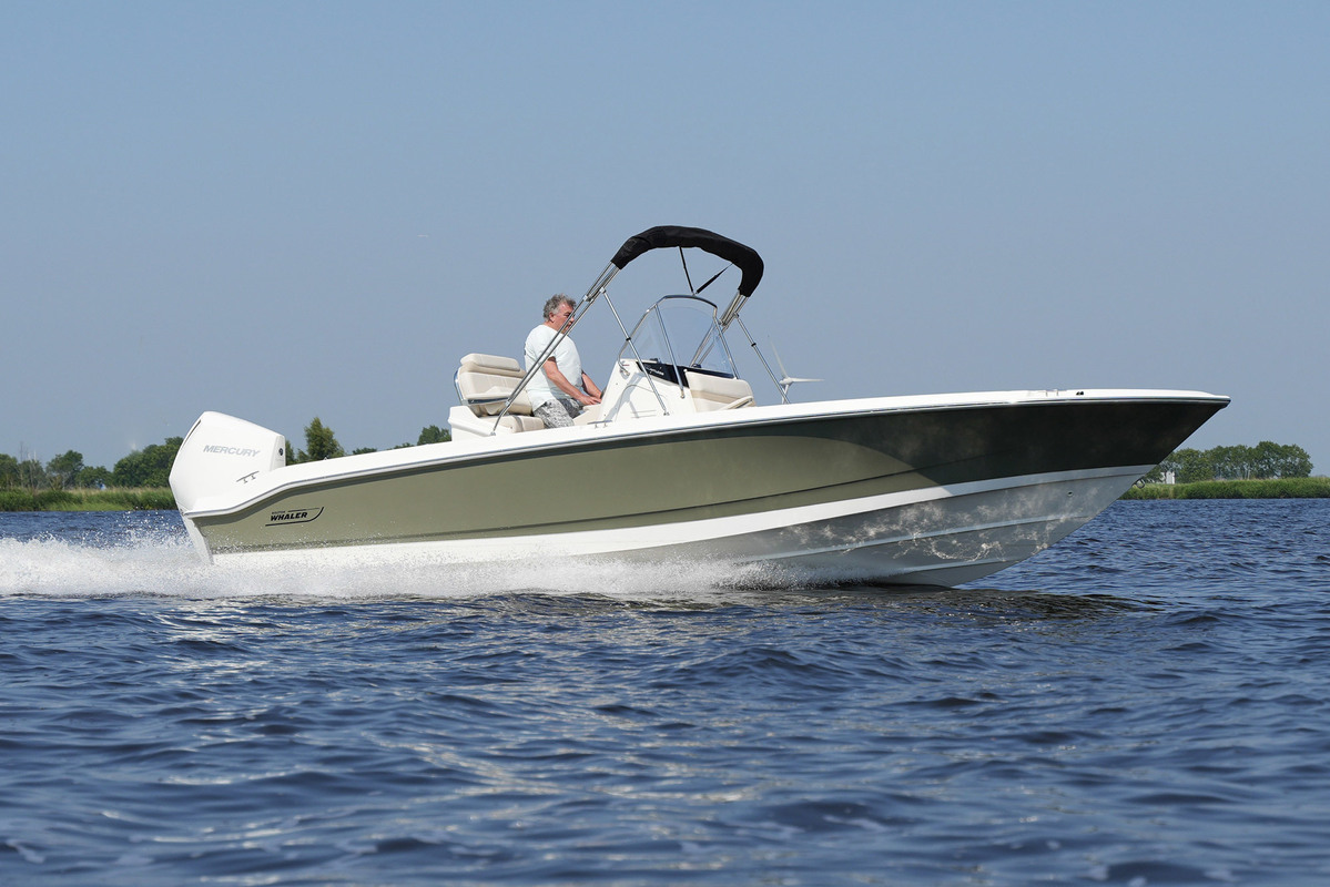 foto: 6 Boston Whaler 250 Dauntless