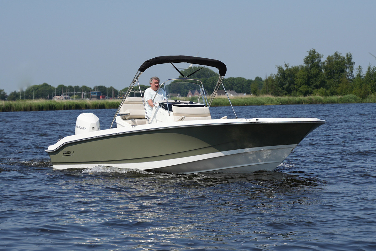 foto: 6 Boston Whaler 250 Dauntless