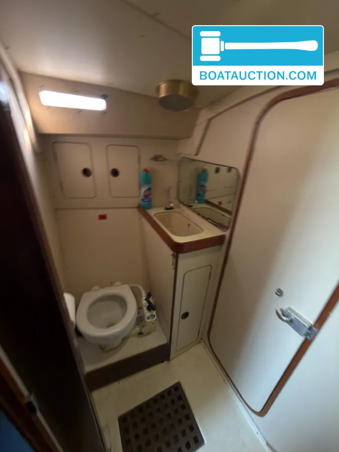 foto: 5 Sigma 33 OOD