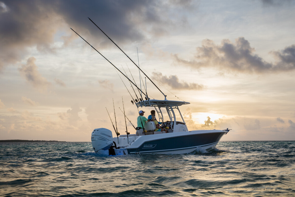 foto: 5 Boston Whaler 230 Outrage