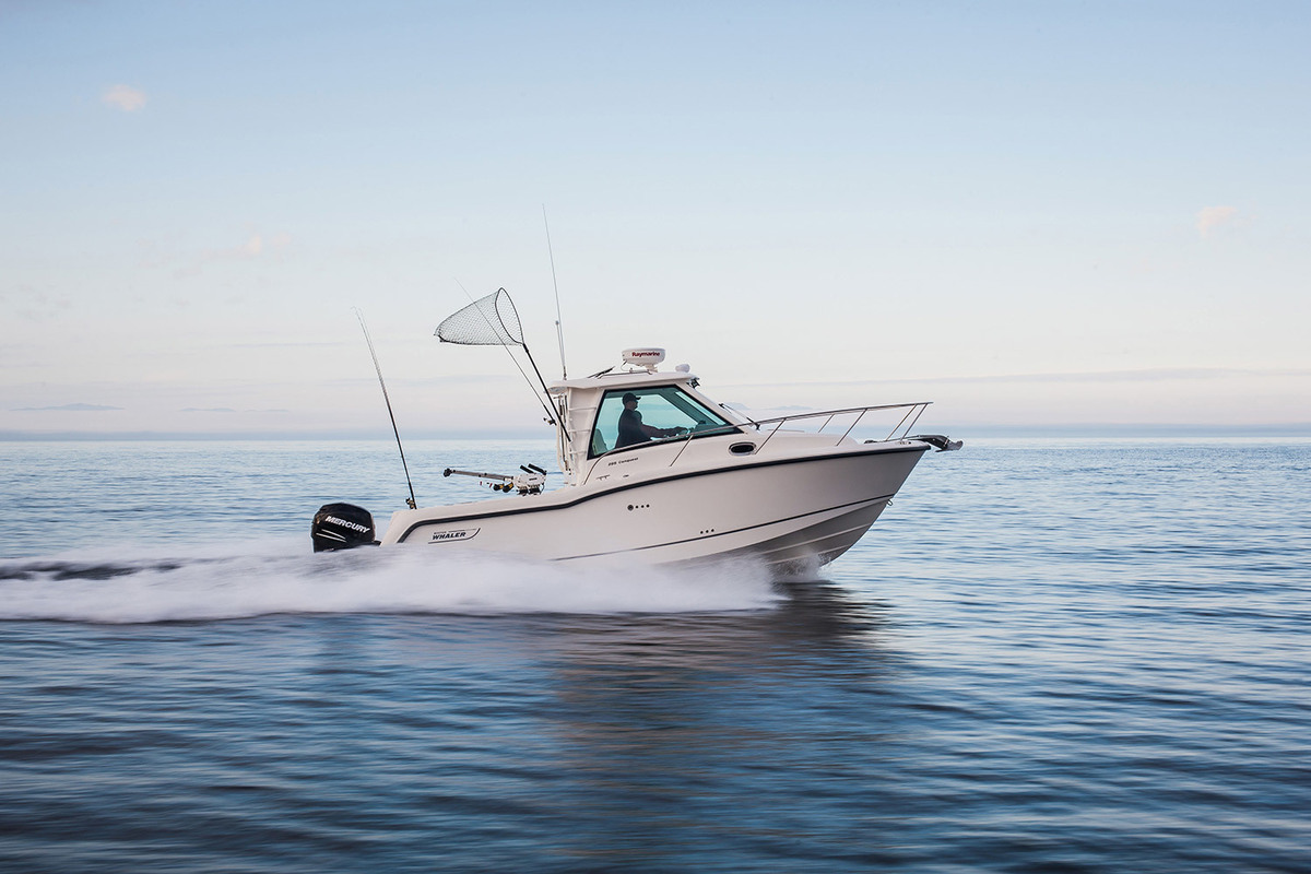 foto: 12 Boston Whaler 285 Conquest